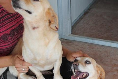 Chloe e Lory: tutti e due adottate!
